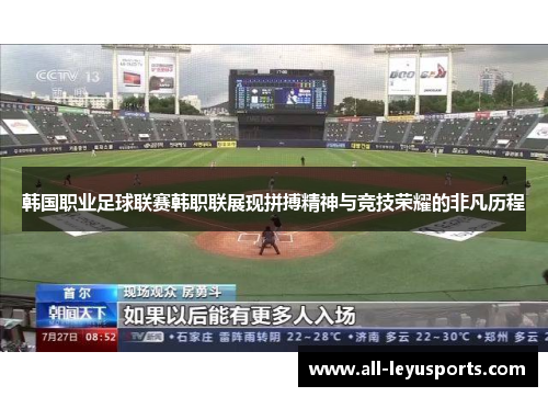 韩国职业足球联赛韩职联展现拼搏精神与竞技荣耀的非凡历程